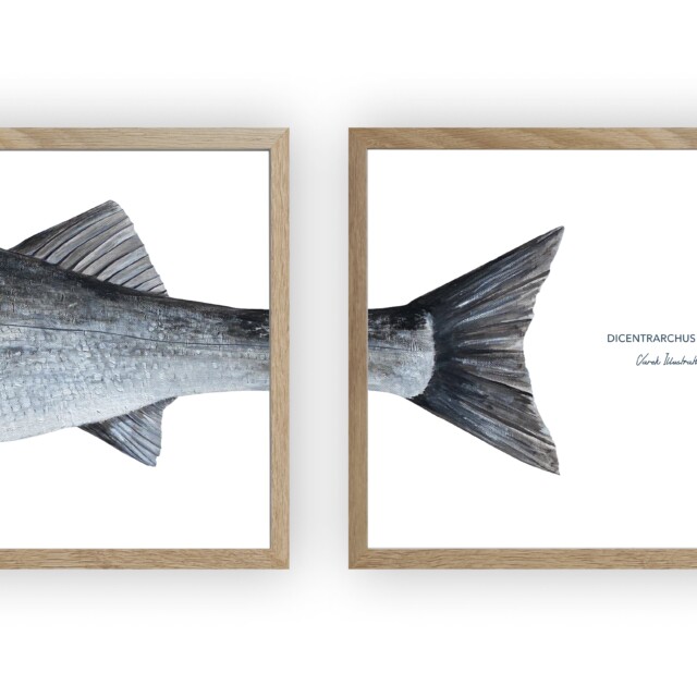 varek.illustrations - Triptyque Bar