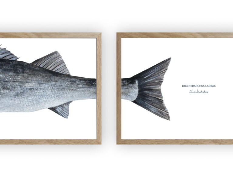 varek.illustrations - Triptyque Bar