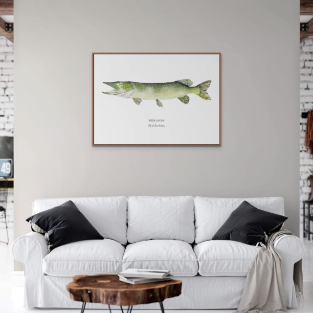 varek.illustrations - Affiche Le Brochet