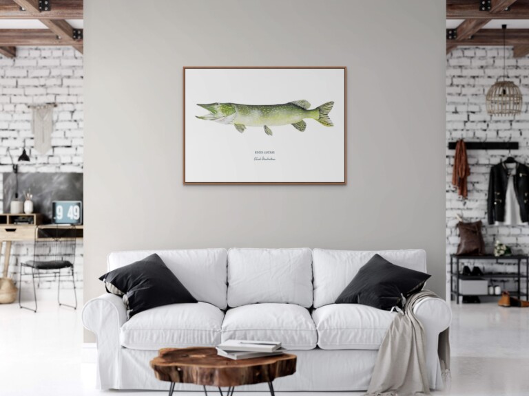 varek.illustrations - Affiche Le Brochet