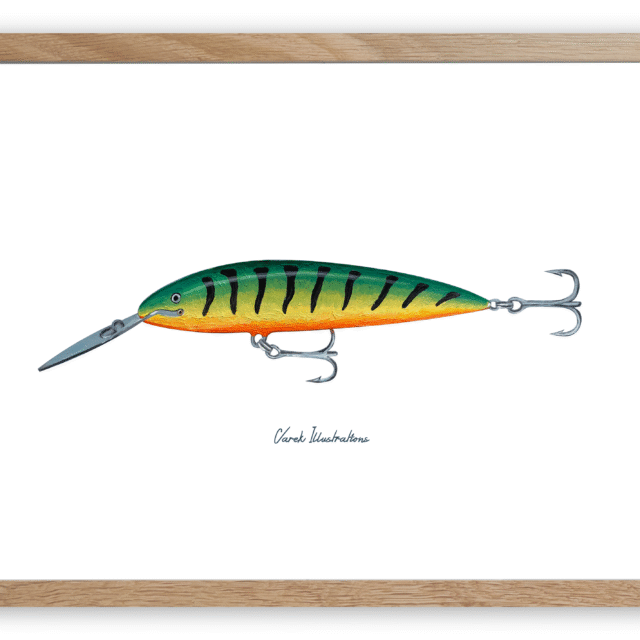 varek.illustrations - Affiche Le Leurre