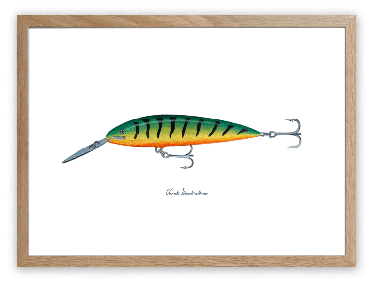 varek.illustrations - Affiche Le Leurre