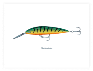 Varek Illustrations - Affiche Le Leurre