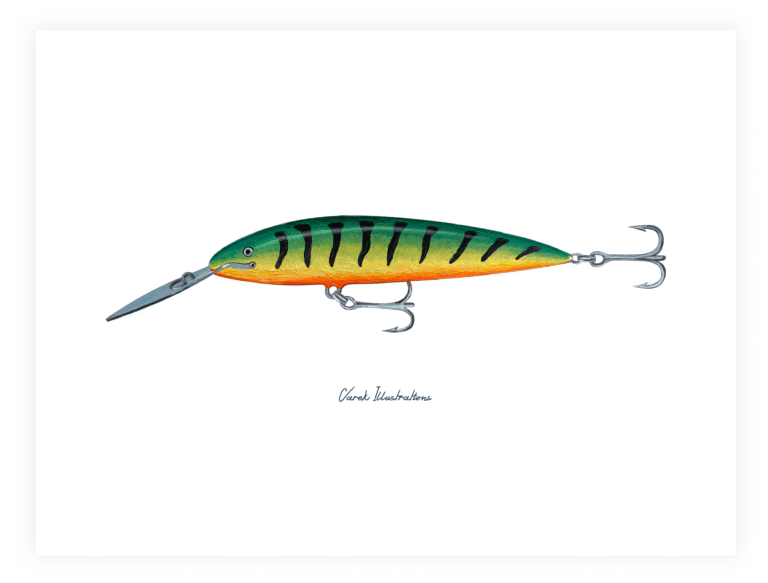 varek.illustrations - Affiche Le Leurre