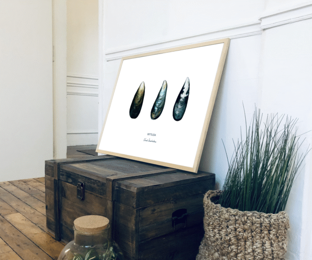 varek.illustrations - Affiche La Moule