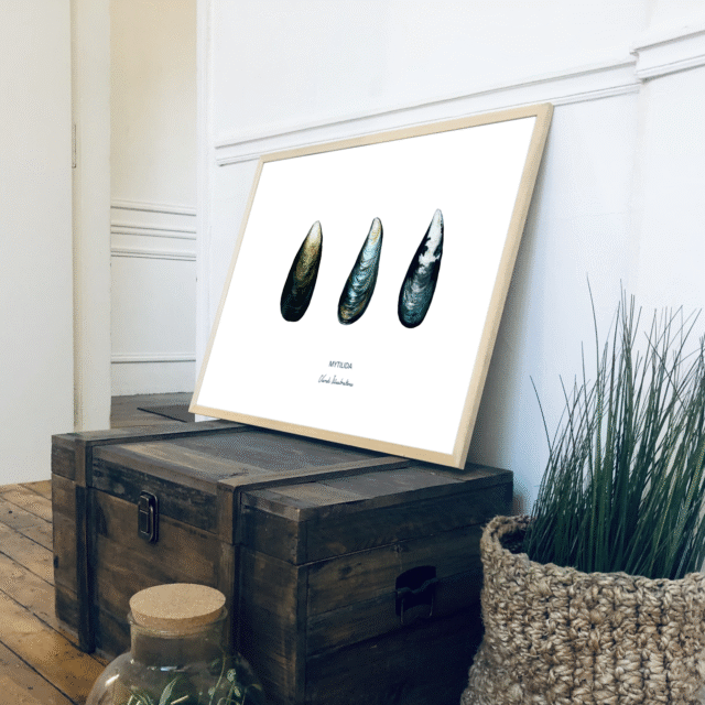 varek.illustrations - Affiche La Moule