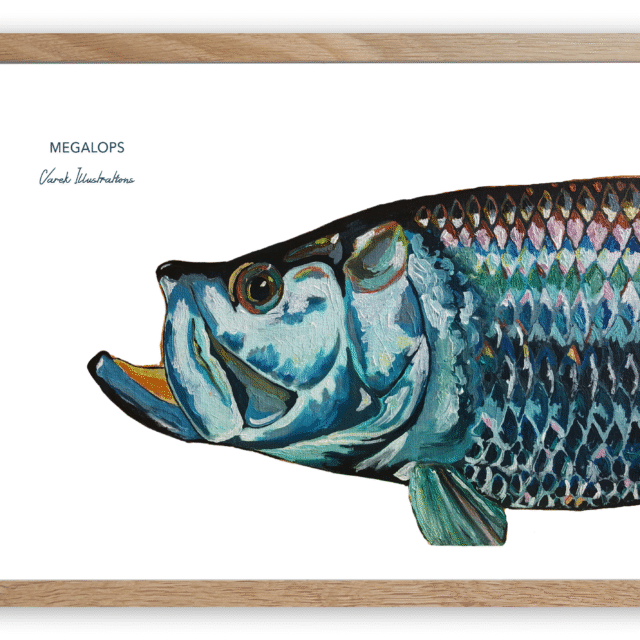 varek.illustrations - Affiche Le Tarpon