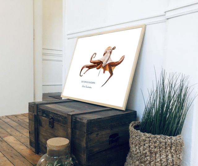 varek.illustrations - Affiche Le Poulpe