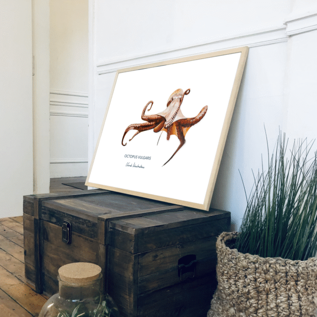 varek.illustrations - Affiche Le Poulpe