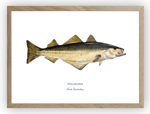 varek.illustrations - Affiche Le Lieu Jaune