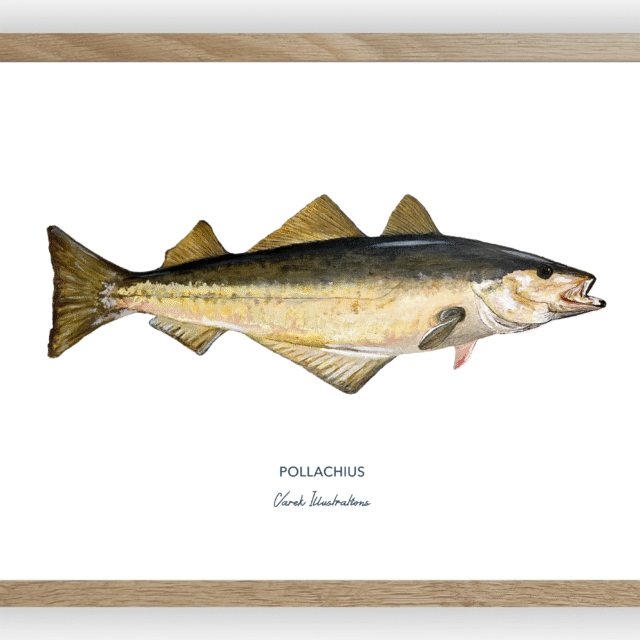 varek.illustrations - Affiche Le Lieu Jaune