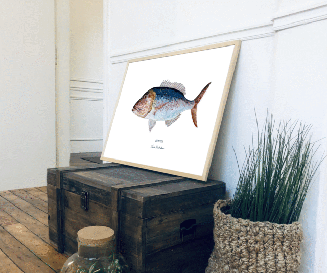 varek.illustrations - Affiche Le Denti