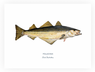 Varek Illustrations - Affiche Le Lieu Jaune