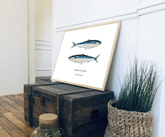 varek.illustrations - Affiche Les Sardines