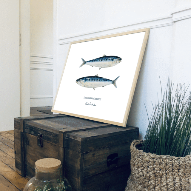 varek.illustrations - Affiche Les Sardines