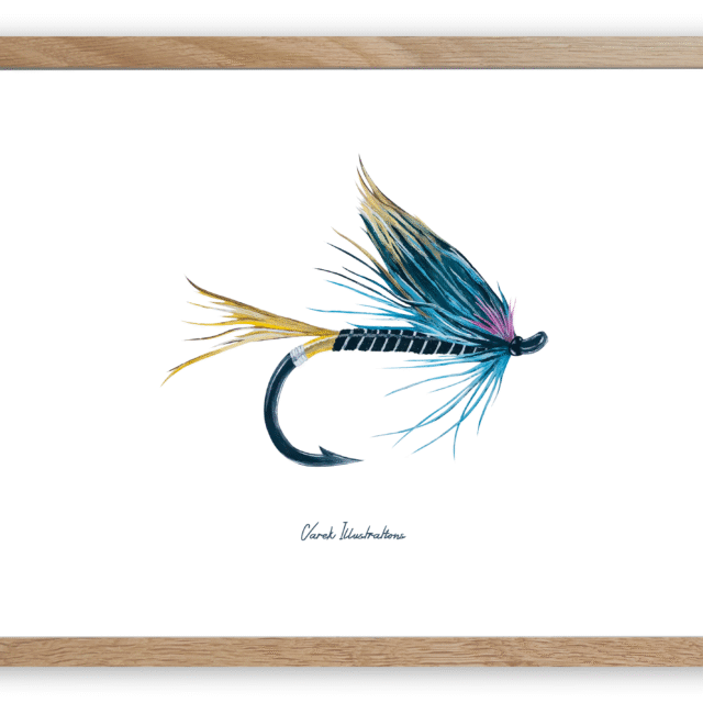 varek.illustrations - Affiche La Mouche