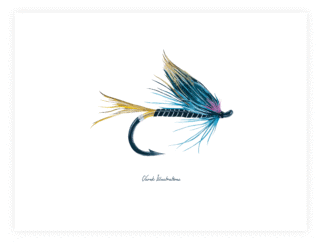 Varek Illustrations - Affiche La Mouche