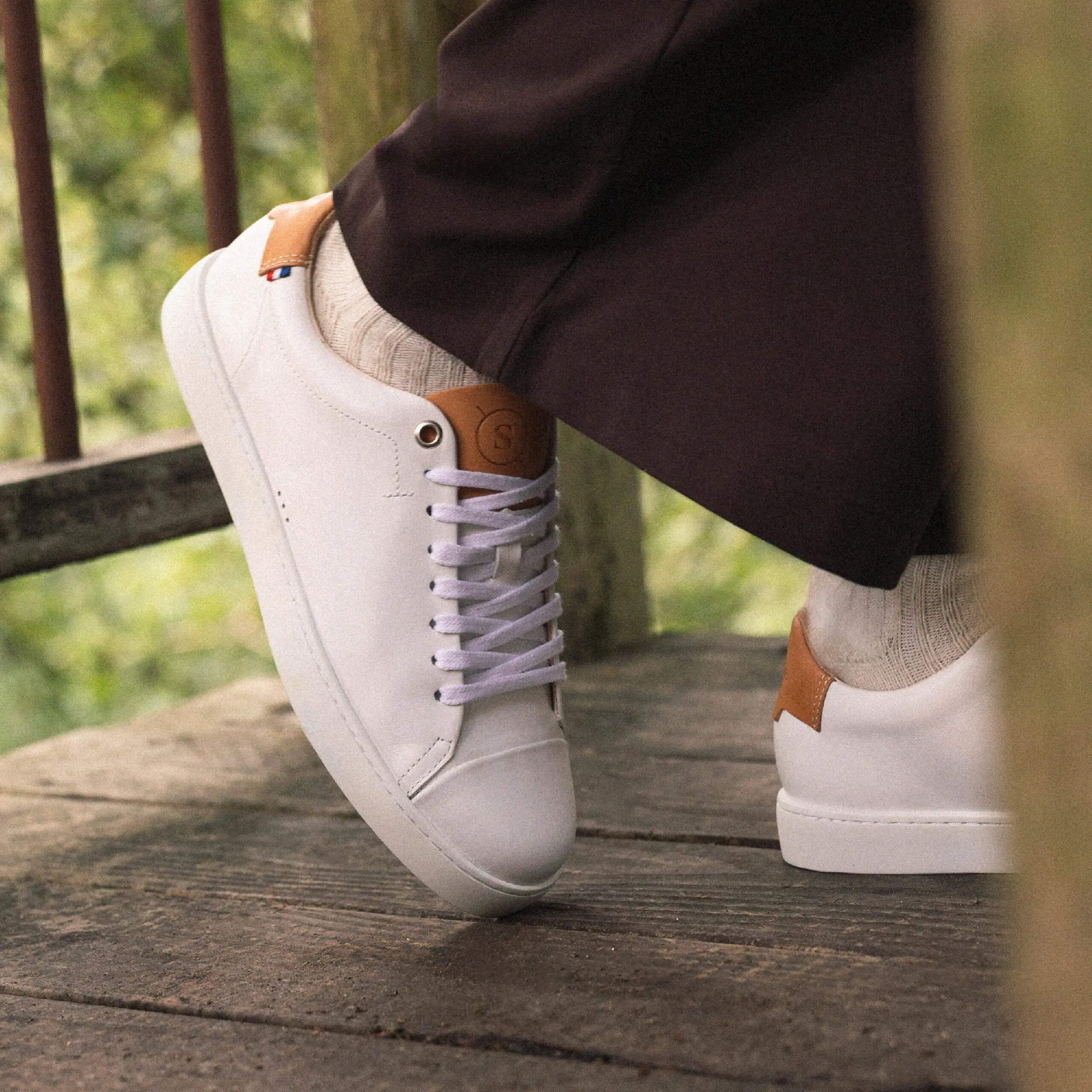 Sessile - Abélia Blanc