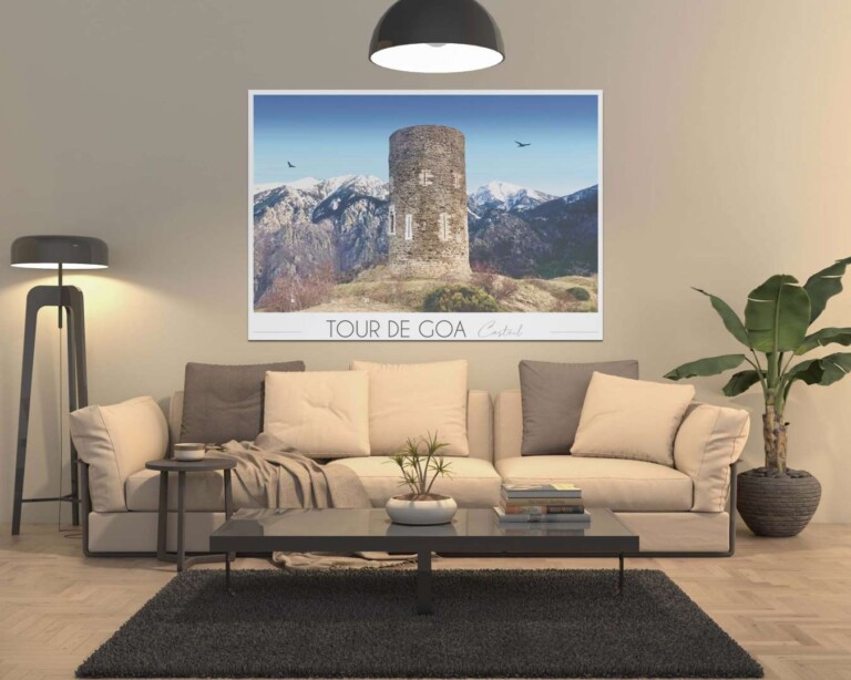 Foliove - Affiche Tour de Goa