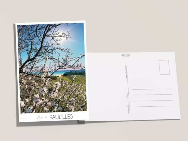 Foliove - Carte postale Paulilles - Amandiers