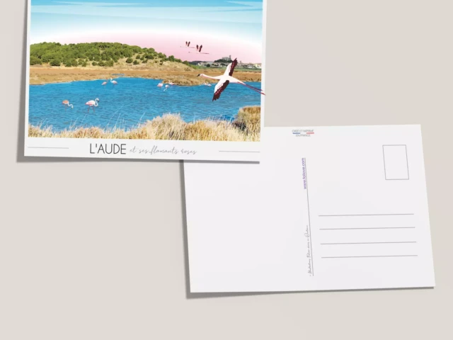 Foliove - Carte postale Flamants roses de l'Aude