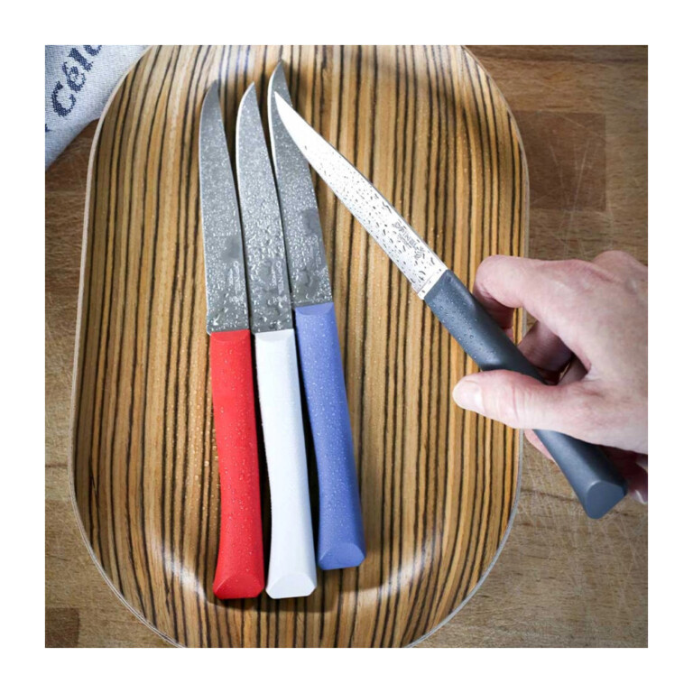 OPINEL - Coffret 4 couteaux OPINEL Bon appétit + polymère - 5 coloris