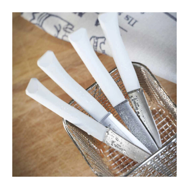 OPINEL - Coffret 4 couteaux OPINEL Bon appétit + polymère - 5 coloris