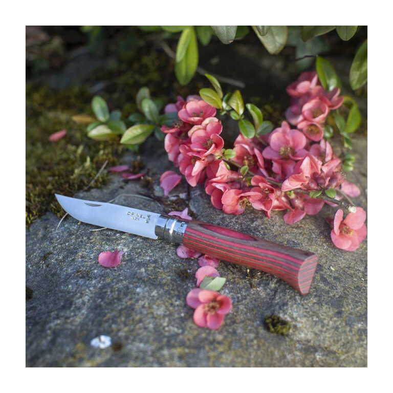 OPINEL - Couteau n°8 OPINEL Tradition Luxe Bouleau lamellé - 3 coloris