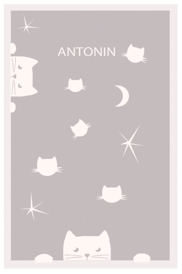 Maison Solfin - Plaid bébé motif Chats laine Made in France| B.Solfin