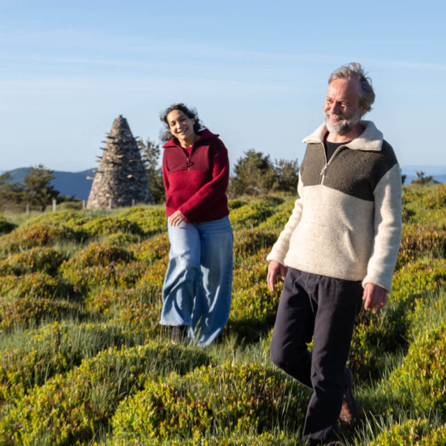 Ardelaine - Pull en laine - Thines