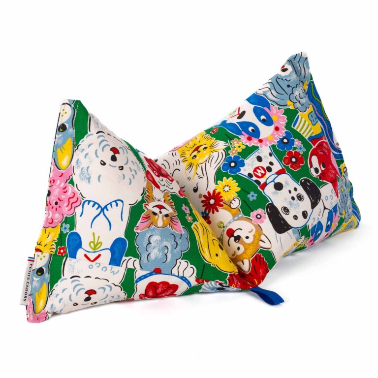 Petits Cadors - Coussin du quotidien · SALVADOR Buckingham