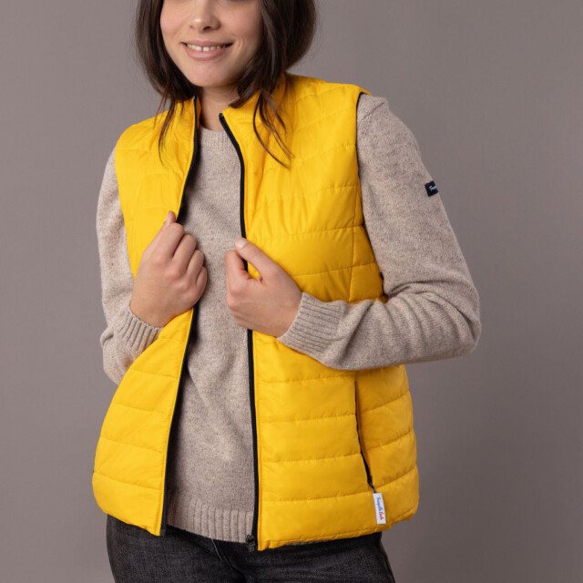 Tranquille Émile - La Tempérée Jaune