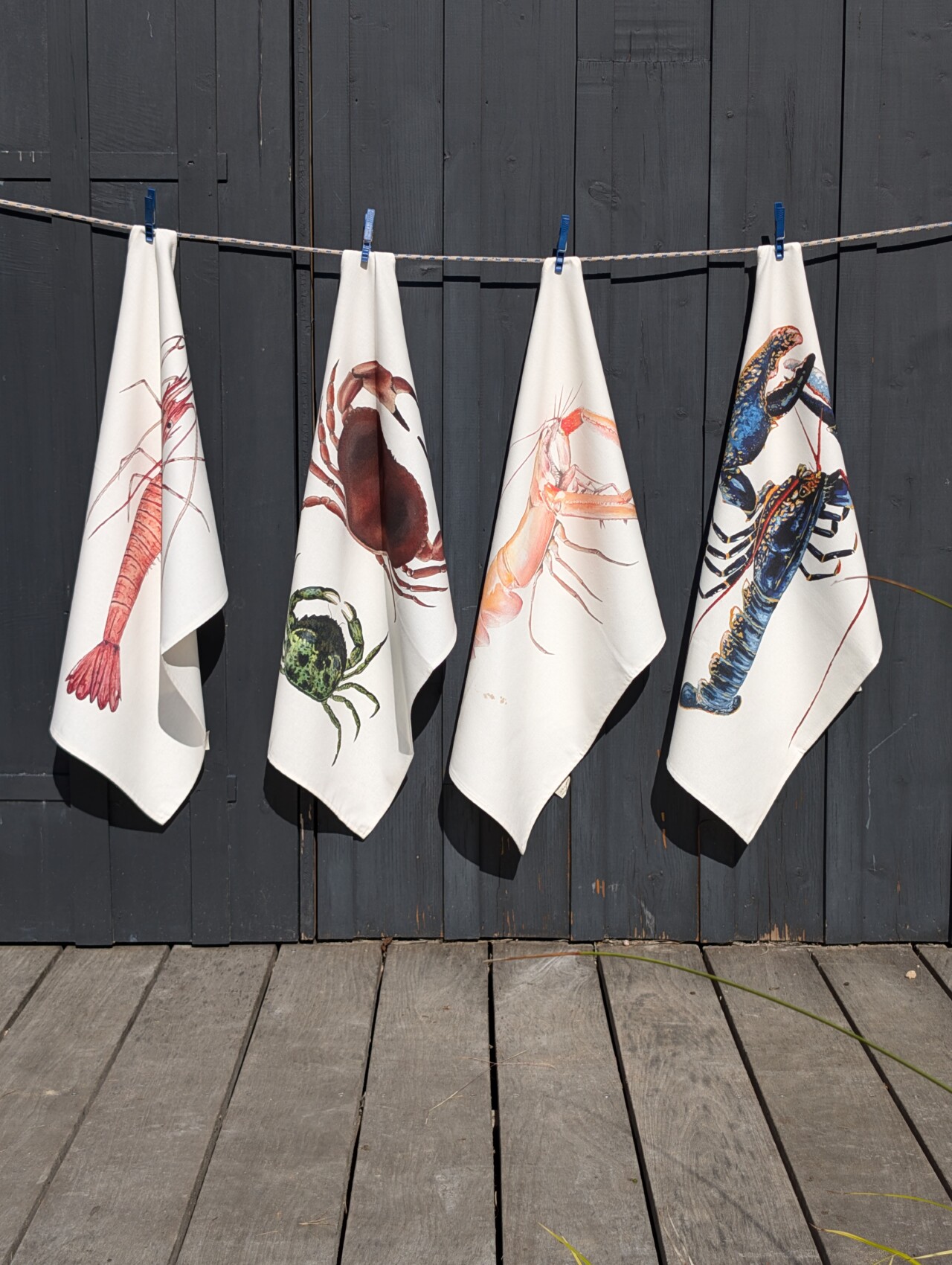 varek illustrations set 4 torchons Varek-Illustrations-set-4-torchons