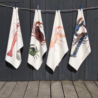 varek illustrations set 4 torchons Varek-Illustrations-set-4-torchons