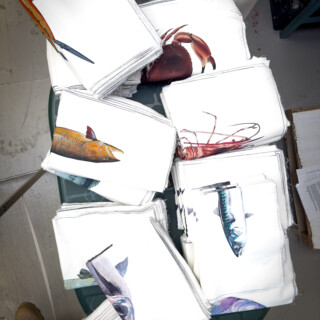 Varek-Illustrations-torchons-atelier