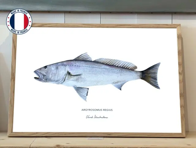 Varek Illustrations - Affiche Le Maigre