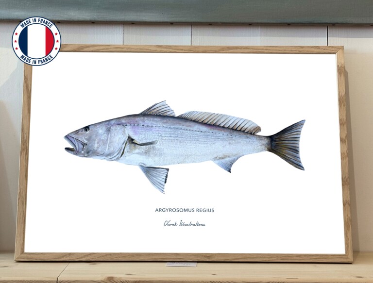 varek.illustrations - Affiche Le Maigre