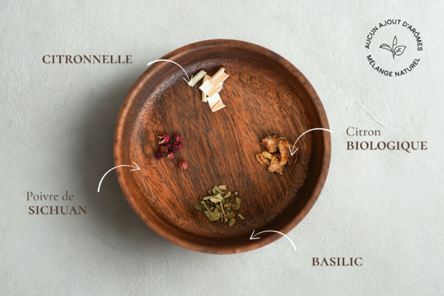 Maison Théerie - N°20 Infusion "Le Beau Zeste"