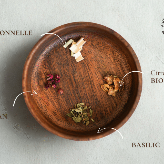 Maison Théerie - N°20 Infusion "Le Beau Zeste"