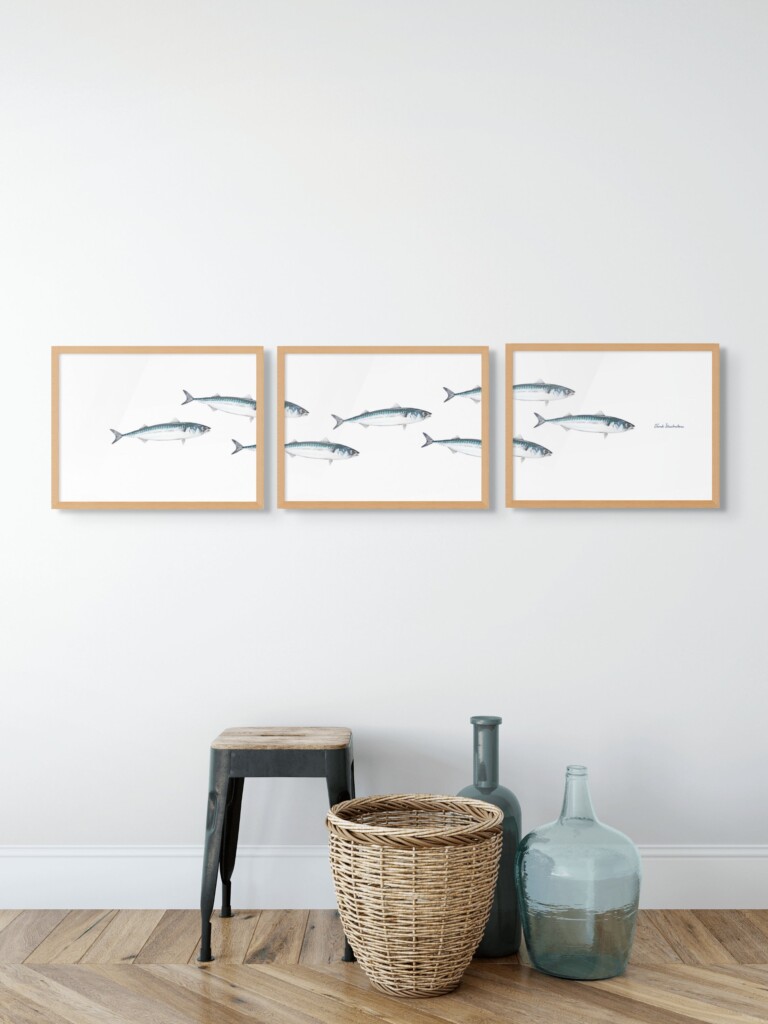 varek.illustrations - Triptyque Banc de Maquereau