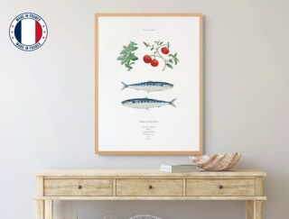 Affiche : La recette des Sardines à la Provencale par la marque Varek Illustrations Varek Illustrations - Affiche : La recette des Sardines à la Provencale