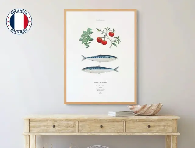 Varek Illustrations - Affiche : La recette des Sardines à la Provencale