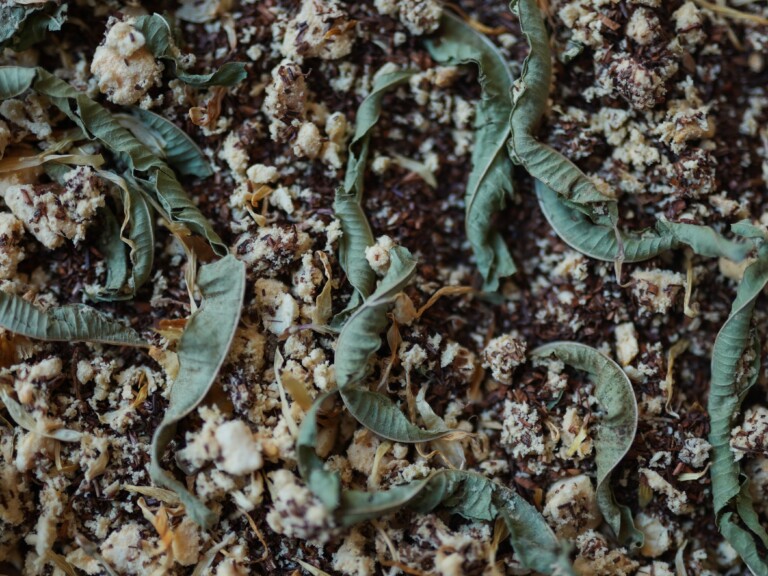 Maison Théerie - N°24 Rooibos fruit jaune "Soleil d'Afrique"