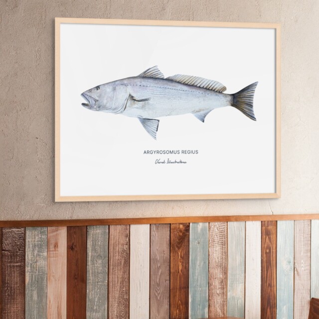 varek.illustrations - Affiche Le Maigre