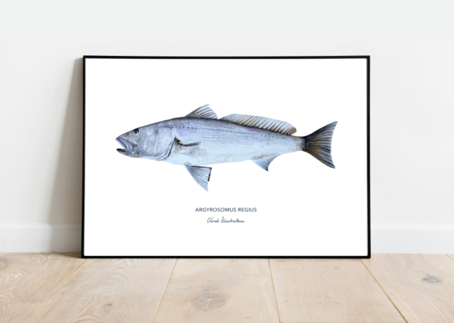 varek.illustrations - Affiche Le Maigre