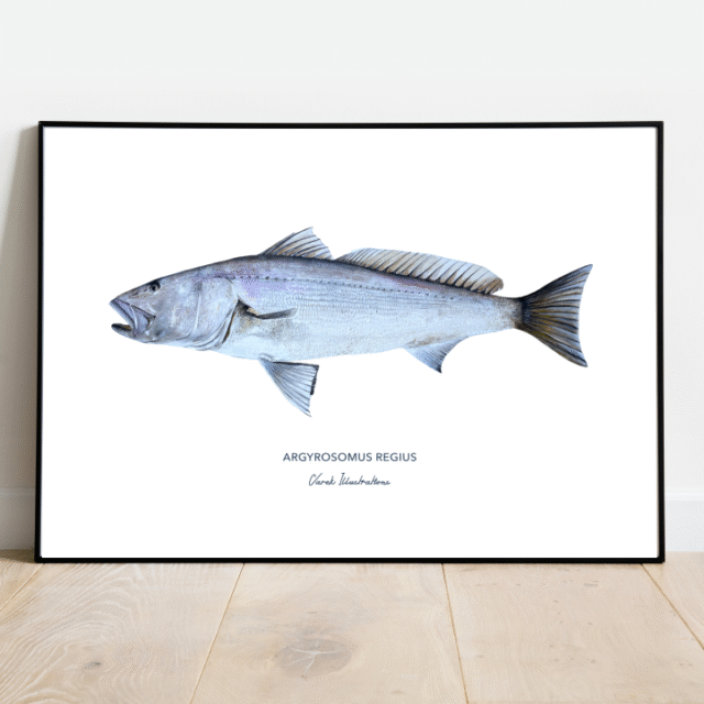 varek.illustrations - Affiche Le Maigre