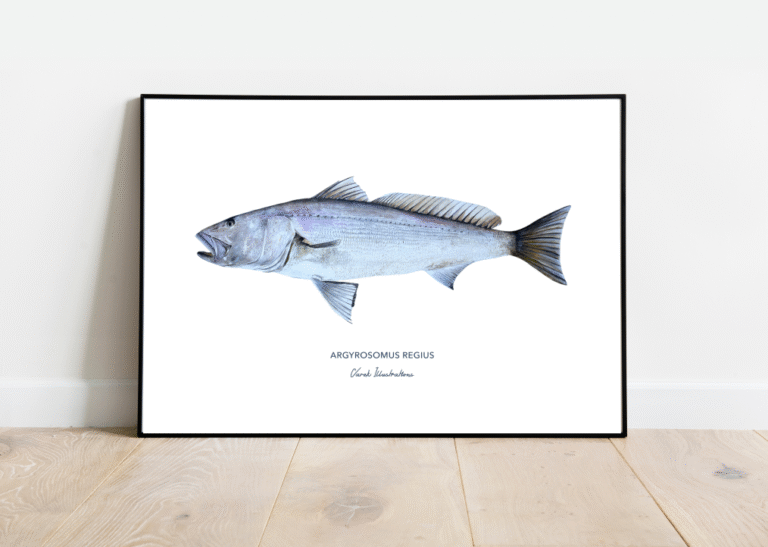 varek.illustrations - Affiche Le Maigre