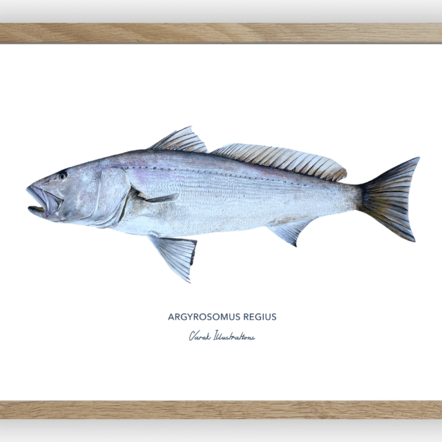 varek.illustrations - Affiche Le Maigre