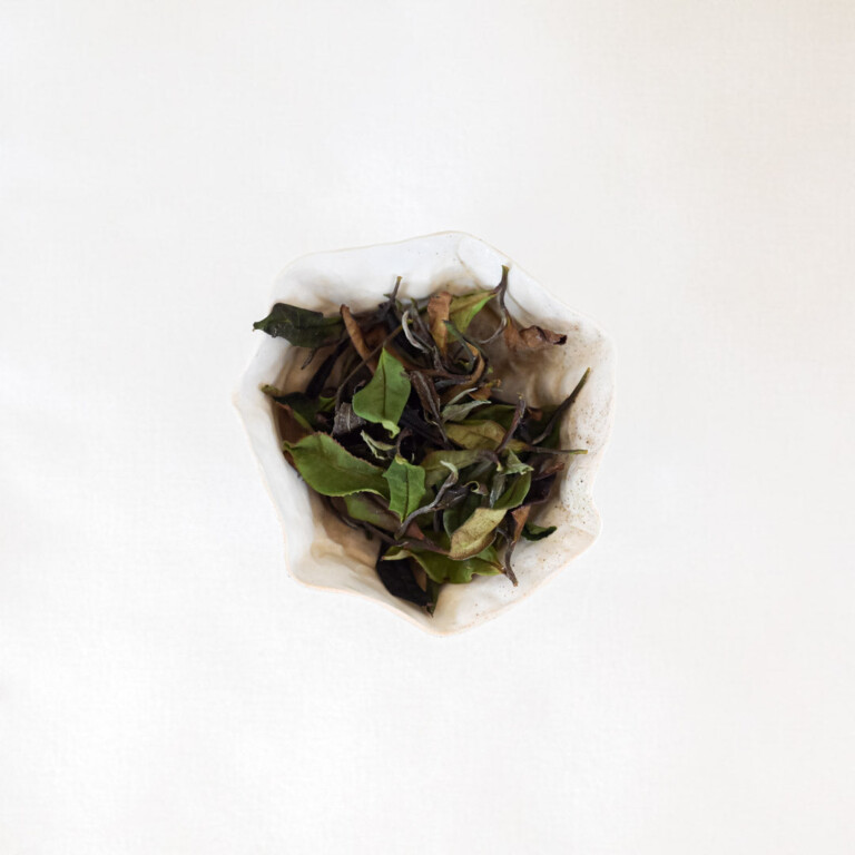 Maison Théerie - Thé blanc Trévarez - Pontivy