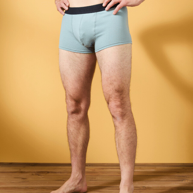 Lemahieu - Boxer court en Coton BIO - Givré - Homme